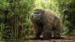 اكتشاف بقايا Gigantopithecus blacki يغير فهم تطور الرئيسيات
