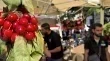 مهرجان الكرز في حمانا يحيي الامال الاقتصادية وسط تحديات الزراعة
