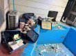 ضبط ملايين الدولارات بحوزة مسؤول عراقي في وزارة النفط