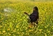ازمة الغاز والاسمدة تهدد الامن الغذائي العالمي وتكوي جيوب الفقراء