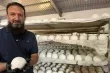 الذهب الابيض في الاردن سر الهوية الوطنية وعصب المنسف الاصيل