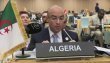 الجزائر تعزز دورها الافريقي بدعم مسار السلام في جنوب السودان