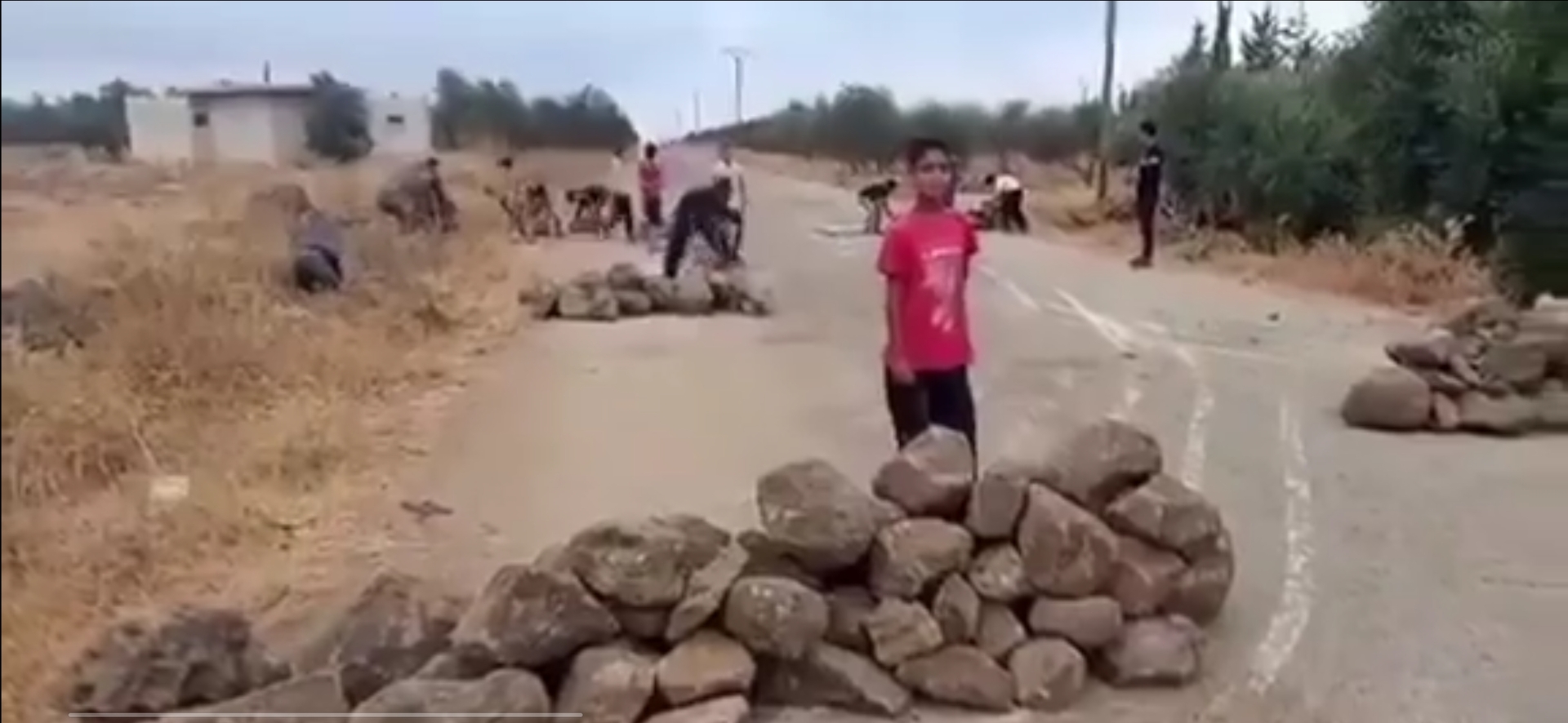 {title}