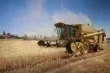 قفزة قياسية في اسعار المحاصيل الزراعية عالميا وسط توترات الجيوسياسية واضطراب المناخ