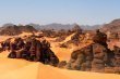 اكتشاف علمي ينهي الغموض حول قط الرمال في صحراء ليبيا