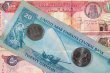 مجموعة موانئ ابوظبي تسجل ارباحا قياسية وتوسع عملياتها اللوجستية