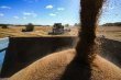 روسيا تعزز هيمنتها على سوق القمح العالمي وتتصدر قائمة الموردين