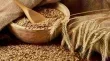 وزارة الصناعة والتجارة الاردنية تطرح عطاء جديدا لاستيراد كميات ضخمة من الشعير