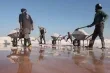 كفاح عمال الملح في بادية دير الزور بين قسوة الحرارة وتحديات النقل