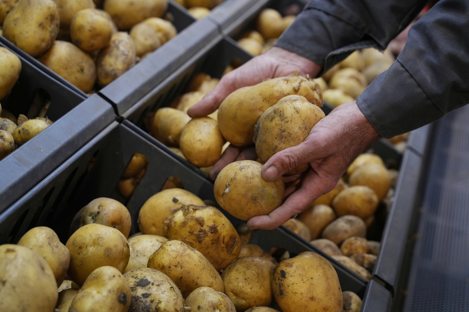 {title}