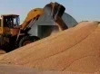 استراتيجيات دولية لمواجهة تقلبات اسعار القمح وتأمين الامن الغذائي