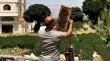 ازمة النحل في لبنان تهدد قطاع العسل بتراجع الانتاج وارتفاع التكاليف