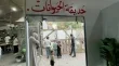 حمار وحشي مزيف يخطف الانظار في غزة وسط ظروف الحرب القاسية