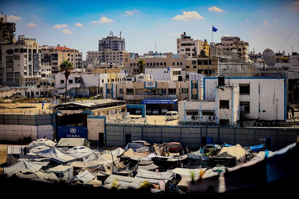 {title}