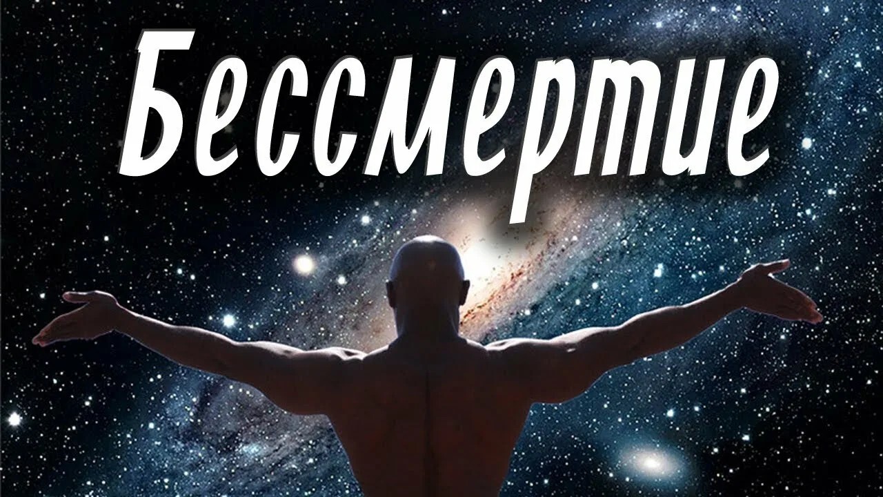 {title}
