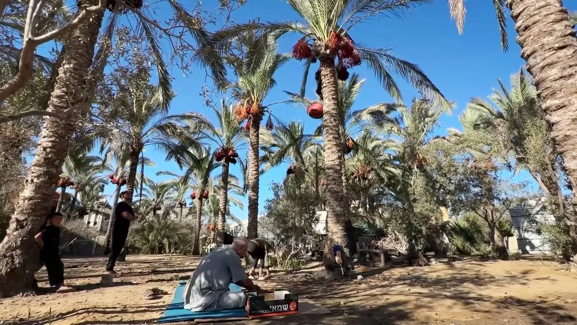 {title}