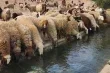 حرب على مقومات البقاء.. كيف يقطع الاحتلال شرايين الحياة في الضفة الغربية