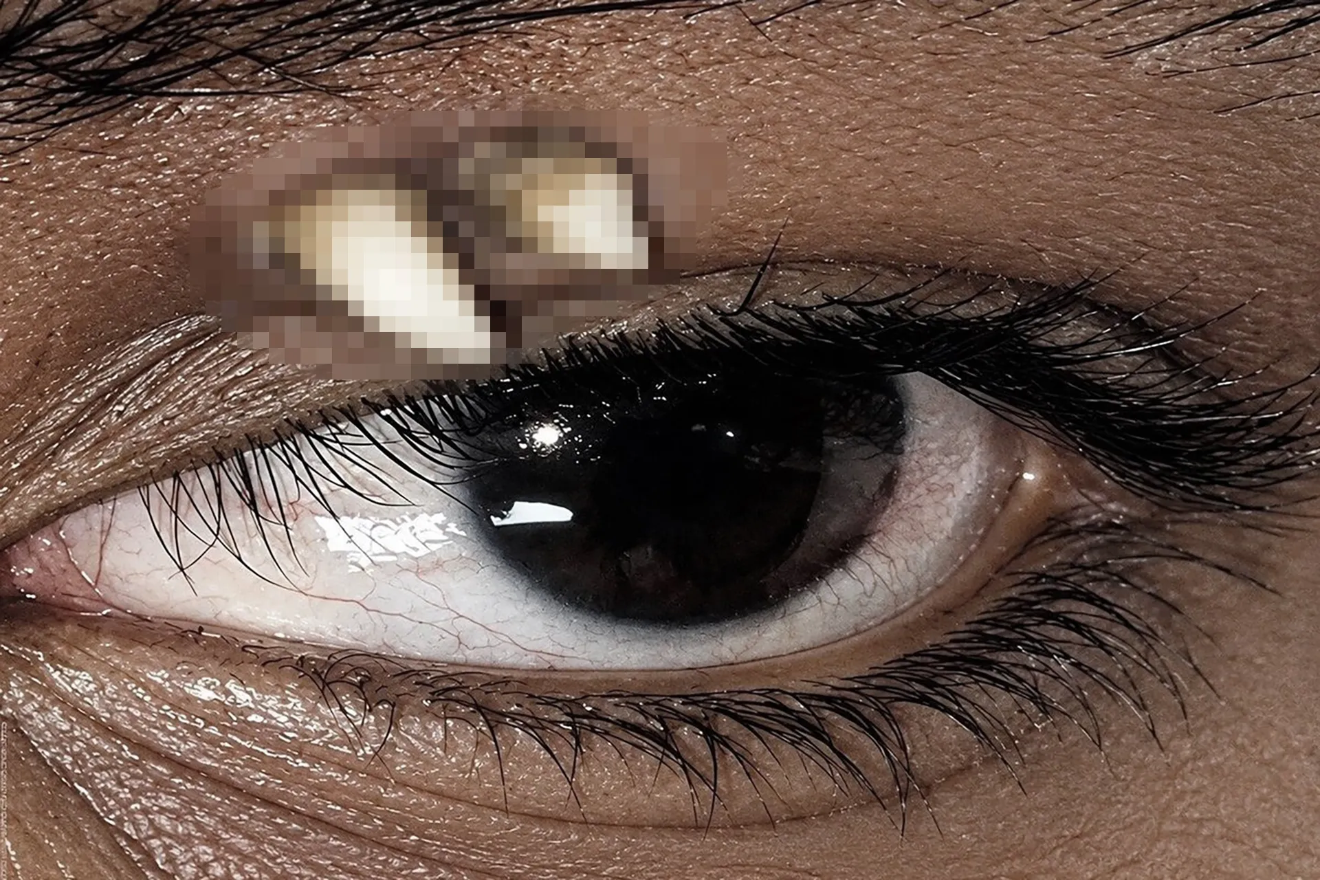 {title}