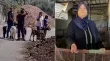 مستوطنون يسرقون مصدر رزق مسنة فلسطينية في نابلس