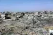 غزو القوارض يضرب المواقع العسكرية والمستوطنات المحاذية لقطاع غزة
