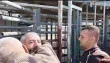 قوات الاحتلال تقتحم منزل الصحفي علي السمودي في جنين وتعتدي على نجله