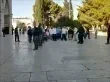 غياب المصلين عن المسجد الاقصى يفتح الباب امام مخططات التهويد الخطيرة