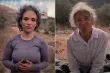 متضامنون دوليون يواجهون مخاطر المستوطنين في حقول الزيتون الفلسطينية