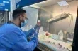 معركة البقاء في العراق تكاليف علاج سرطان الثدي ترهق كاهل المرضى